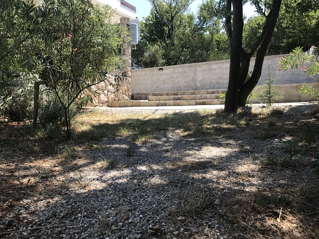 IMG 0390
